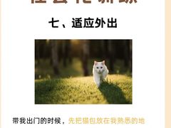 -宠福鑫动物医院(立水桥分院)