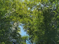 -南京市无想山景区