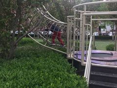 -廊坊固安福朋喜来登酒店