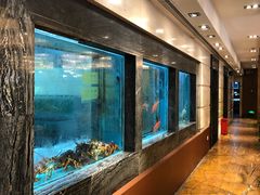 -海逸海鲜酒家(古北店)