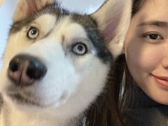 -Husky Go! 哈士奇体验馆·宠物咖啡厅狗咖