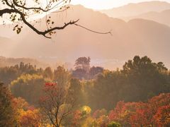 -塔川景区