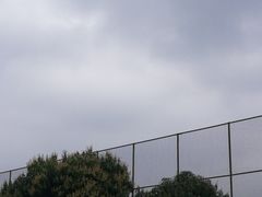 -燕子岗体育场