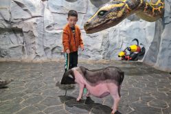 -Zoolung Zoolung动物主题公园(海信广场店)