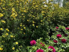 -国家植物园南园