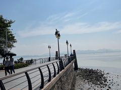 -深圳湾公园(南山区)