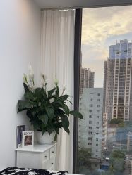 -Doris多里斯半永久纹眉·SMP纹发·发际线