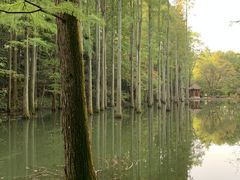 -波尔登森林公园
