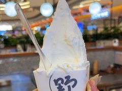 -野人先生Gelato(上海长宁龙之梦店)