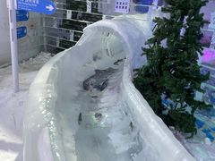 -宁波冰雪大世界(北仑区)