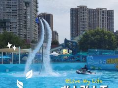 -海合安成都极地海洋公园
