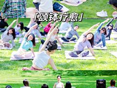-上海山野camping·户外天幕烧烤·团建拓展营地