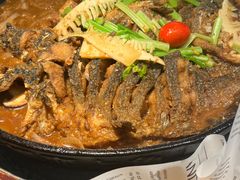 -老板恋上鱼(振华商厦店)