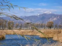 -野鸭湖国家湿地公园