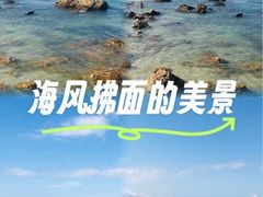 -杨梅坑