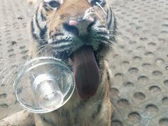 -西安秦岭野生动物园