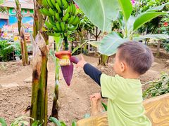 -兰陵国家农业公园