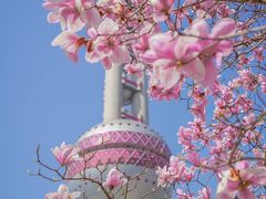 -东方明珠广播电视塔