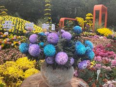 -南山植物园
