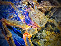 -蟹之国·精品蟹料理(极地店)