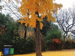 -日本风情街