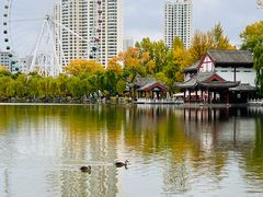 -西宁市人民公园(城西区)