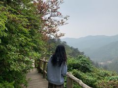 -木兰云雾山