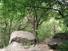 -云岫谷游猎自然风景区