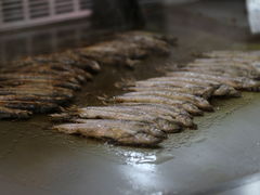 主厨推荐-地方名吃海鲜大馅蒸饺(北戴河店)
