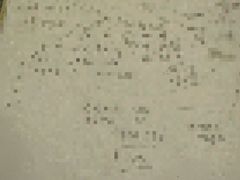 -剧盟谋杀之谜俱乐部·剧本杀