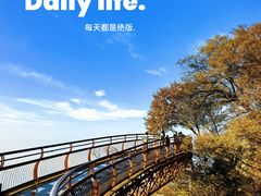 -少华山国家森林公园