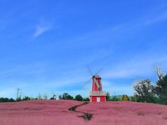 -羊亭河湿地公园