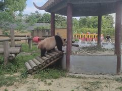 -杭州野生动物世界