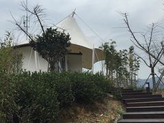 -帐篷客·溪龙茶谷度假酒店