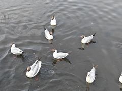 -花湖生态旅游区
