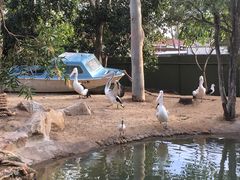 -费瑟代尔野生动物园