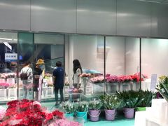 -盒马X会员店(上海森兰商都店)