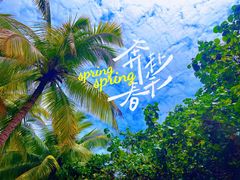 -海南分界洲岛旅游区