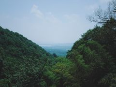 -韬光茶庵