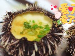 海胆-南蚝小贝海鲜特色餐厅(南澳岛店)