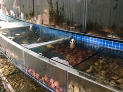 水产区-蟹谢蒸鲜自助餐厅