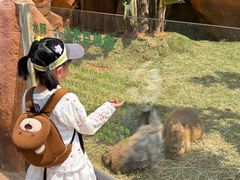 -福州罗源湾海洋世界旅游区