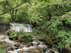 -秦岭终南山世界地质公园翠华山景区