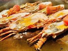 小青龙-大渔之观(安贞店)