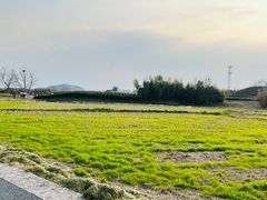-良渚文化村