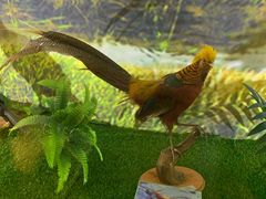 -下渚湖国家湿地公园科普馆