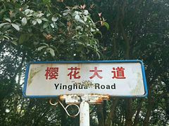 -武汉大学-樱园