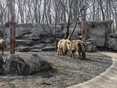 -北京野生动物园