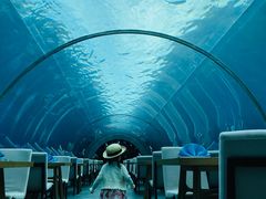 -涛·海底餐厅·美人鱼·自助餐·海底隧道(三亚海棠湾洲际度假酒店)
