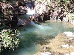 景点-九龙江国家森林公园